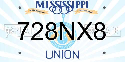 728NX8 Mississippi License Plate