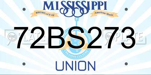 72BS273 Mississippi License Plate