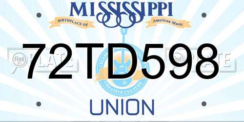 72TD598 Mississippi License Plate