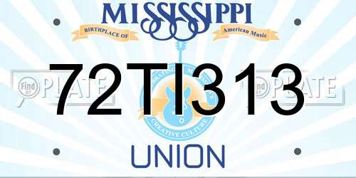 72TI313 Mississippi License Plate