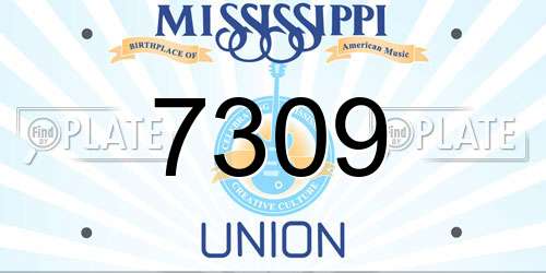 7309 Mississippi License Plate