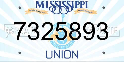 7325893 Mississippi License Plate