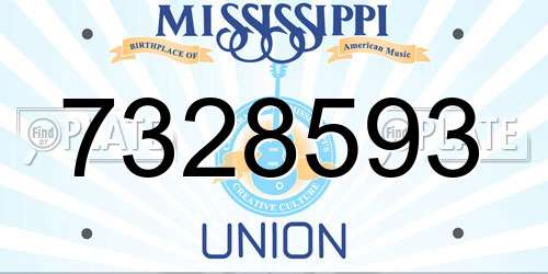 7328593 Mississippi License Plate