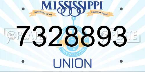 7328893 Mississippi License Plate