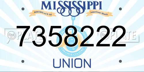 7358222 Mississippi License Plate