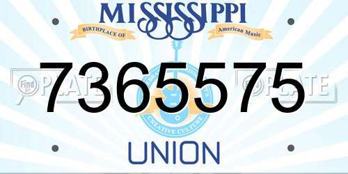 7365575 Mississippi License Plate
