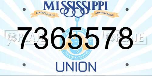 7365578 Mississippi License Plate