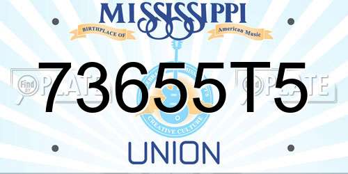 73655T5 Mississippi License Plate