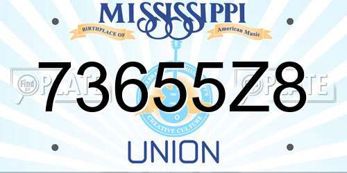 73655Z8 Mississippi License Plate