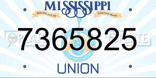 7365825 Mississippi License Plate
