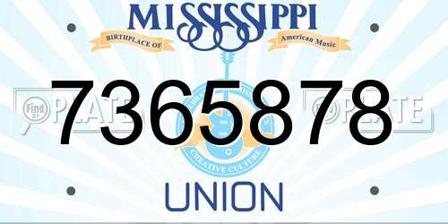 7365878 Mississippi License Plate