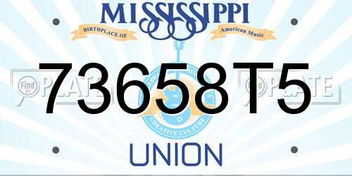 73658T5 Mississippi License Plate