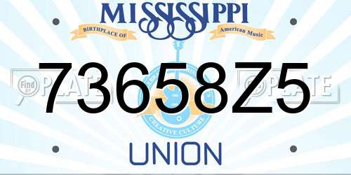 73658Z5 Mississippi License Plate