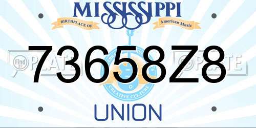 73658Z8 Mississippi License Plate