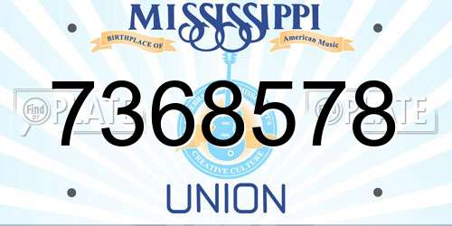 7368578 Mississippi License Plate