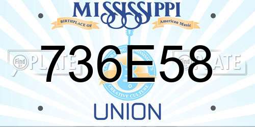 736E58 Mississippi License Plate