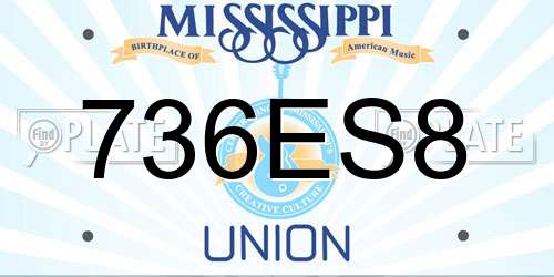 736ES8 Mississippi License Plate