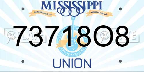 73718O8 Mississippi License Plate