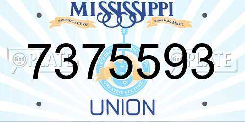 7375593 Mississippi License Plate