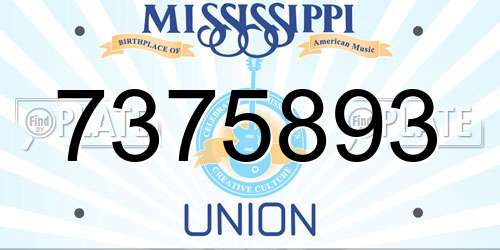 7375893 Mississippi License Plate