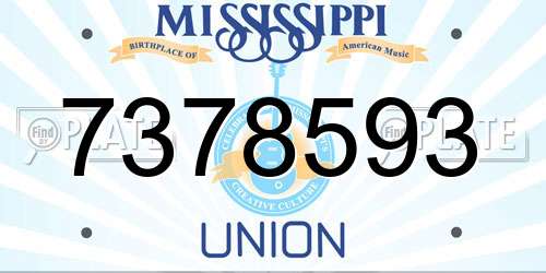7378593 Mississippi License Plate