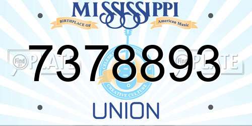 7378893 Mississippi License Plate