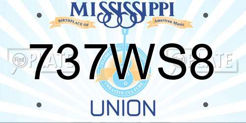 737WS8 Mississippi License Plate