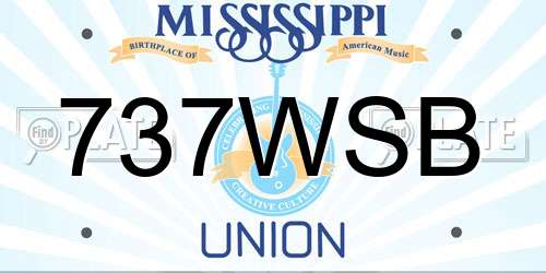 737WSB Mississippi License Plate