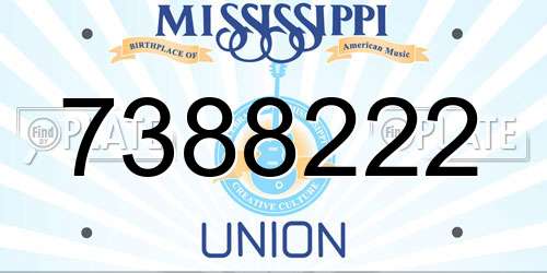 7388222 Mississippi License Plate