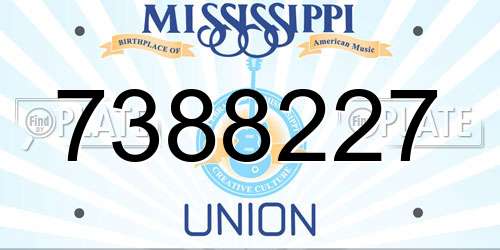 7388227 Mississippi License Plate