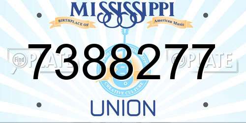 7388277 Mississippi License Plate