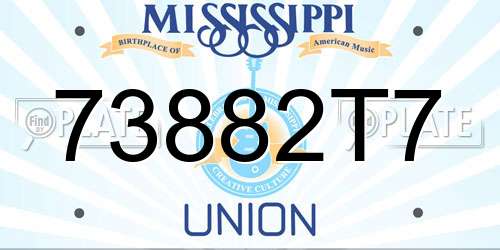 73882T7 Mississippi License Plate