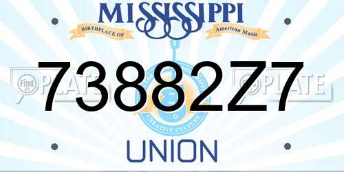 73882Z7 Mississippi License Plate