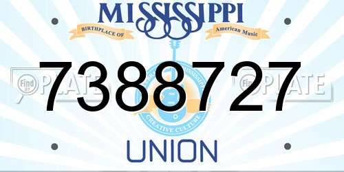 7388727 Mississippi License Plate