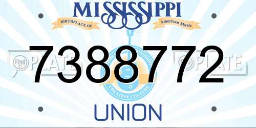 7388772 Mississippi License Plate