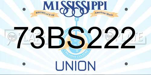 73BS222 Mississippi License Plate