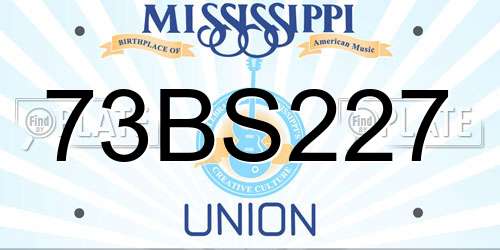 73BS227 Mississippi License Plate
