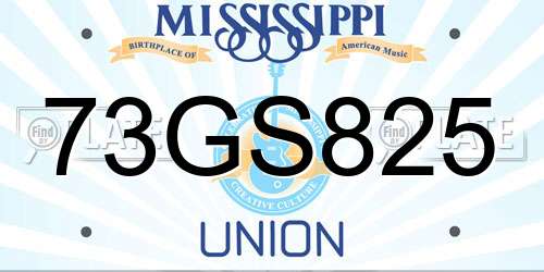 73GS825 Mississippi License Plate