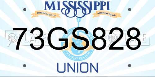 73GS828 Mississippi License Plate