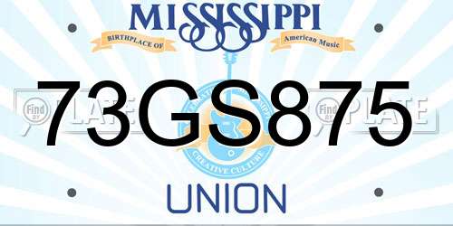 73GS875 Mississippi License Plate