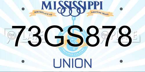 73GS878 Mississippi License Plate