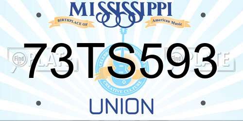 73TS593 Mississippi License Plate