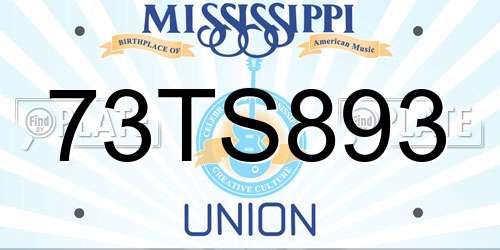 73TS893 Mississippi License Plate