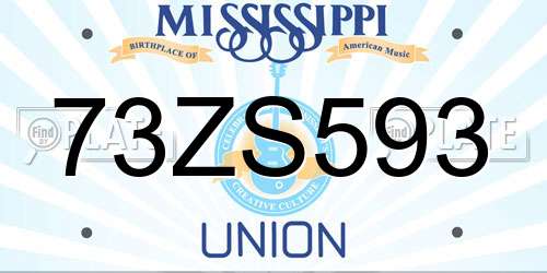 73ZS593 Mississippi License Plate