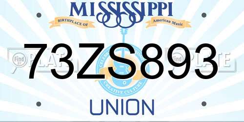 73ZS893 Mississippi License Plate