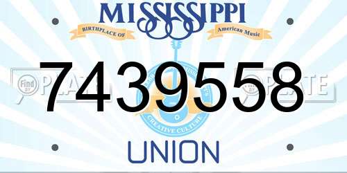 7439558 Mississippi License Plate