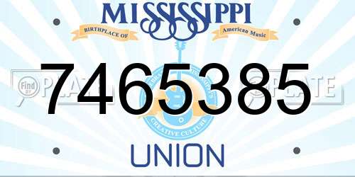7465385 Mississippi License Plate