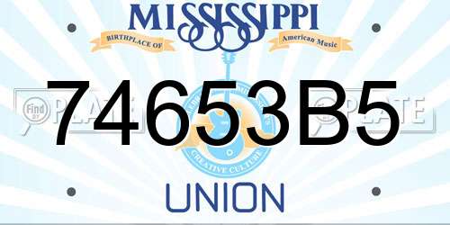 74653B5 Mississippi License Plate