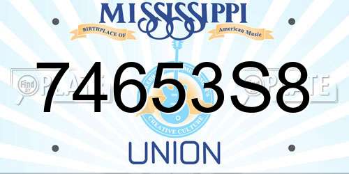 74653S8 Mississippi License Plate