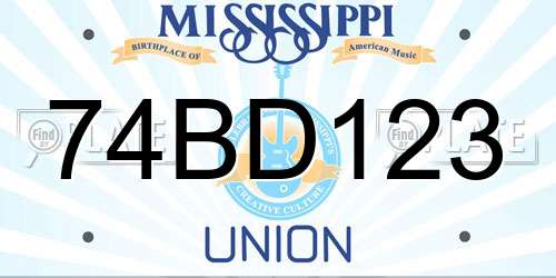 74BD123 Mississippi License Plate